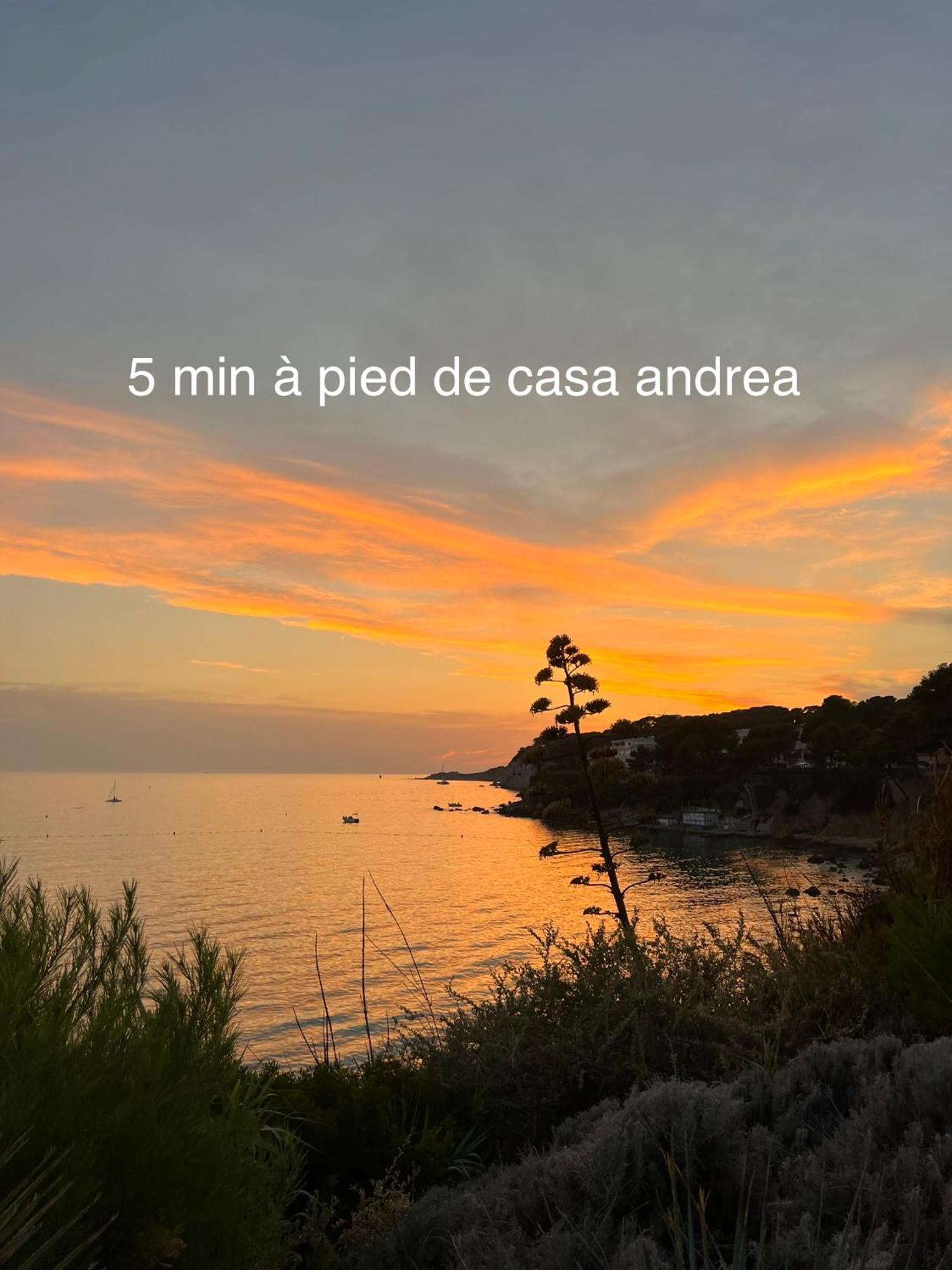 Casa Andrea Appartement Tout A Pied Avec Grand Jardin Санари-сюр-Мер Екстериор снимка